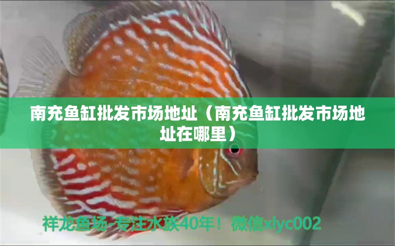 南充魚(yú)缸批發(fā)市場(chǎng)地址（南充魚(yú)缸批發(fā)市場(chǎng)地址在哪里）