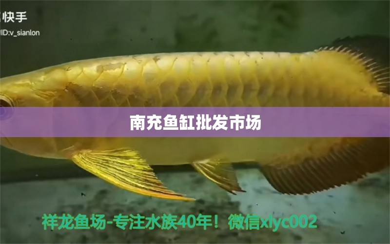 南充魚缸批發(fā)市場