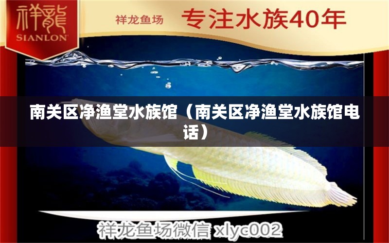 南關(guān)區(qū)凈漁堂水族館（南關(guān)區(qū)凈漁堂水族館電話） 全國水族館企業(yè)名錄