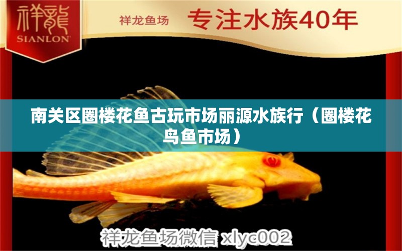 南關(guān)區(qū)圈樓花魚古玩市場麗源水族行（圈樓花鳥魚市場）