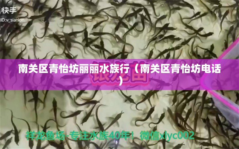 南關(guān)區(qū)青怡坊麗麗水族行（南關(guān)區(qū)青怡坊電話）