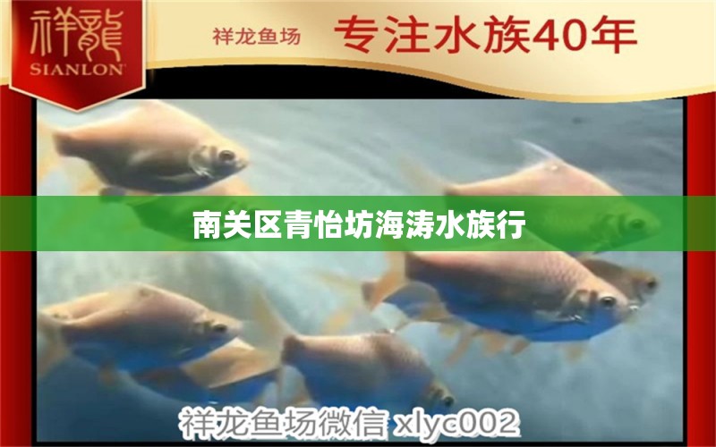 南關區(qū)青怡坊海濤水族行