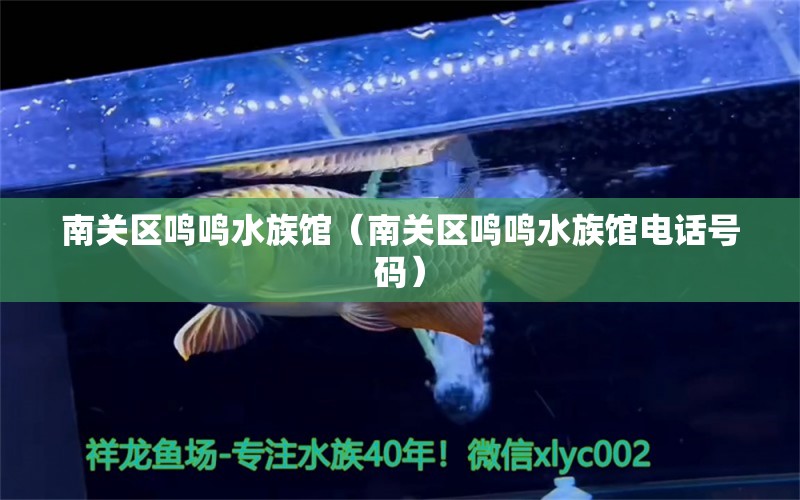 南關(guān)區(qū)鳴鳴水族館（南關(guān)區(qū)鳴鳴水族館電話號(hào)碼）