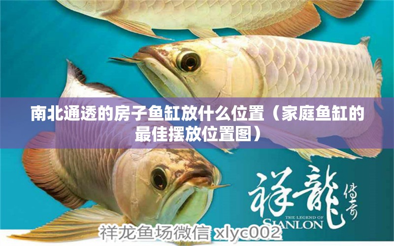 南北通透的房子魚缸放什么位置（家庭魚缸的最佳擺放位置圖） 龍魚專用燈