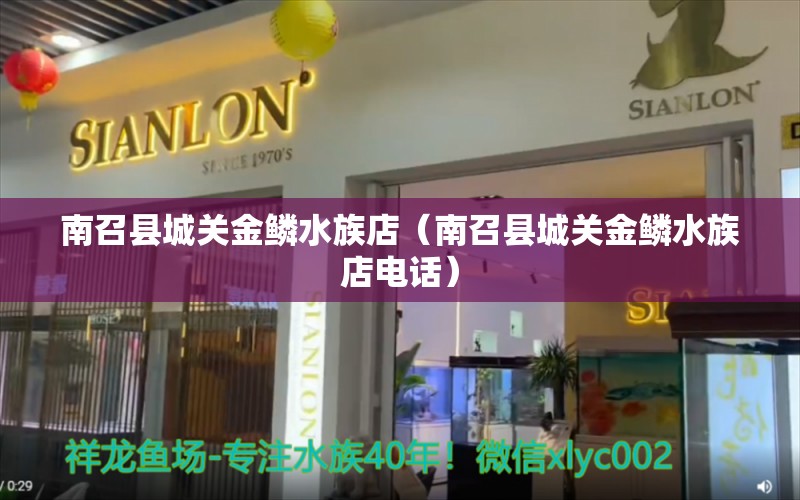 南召縣城關(guān)金鱗水族店（南召縣城關(guān)金鱗水族店電話） 全國水族館企業(yè)名錄