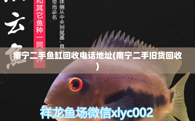 南寧二手魚(yú)缸回收電話(huà)地址(南寧二手舊貨回收) 福滿(mǎn)鉆魚(yú)