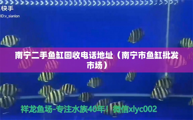 南寧二手魚缸回收電話地址（南寧市魚缸批發(fā)市場）