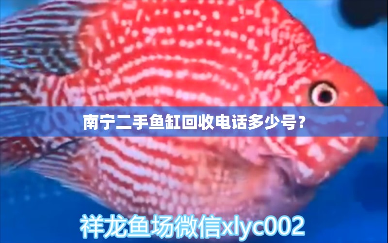 南寧二手魚缸回收電話多少號？ 養(yǎng)魚知識