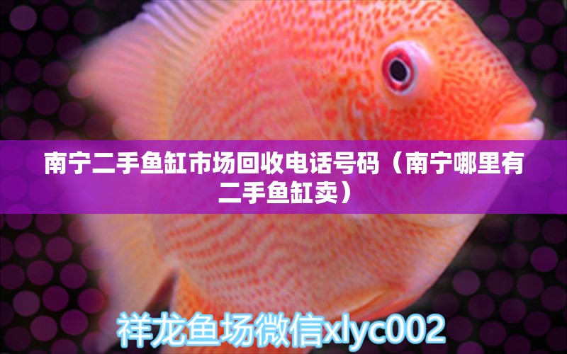 南寧二手魚缸市場回收電話號碼（南寧哪里有二手魚缸賣） 養(yǎng)魚知識