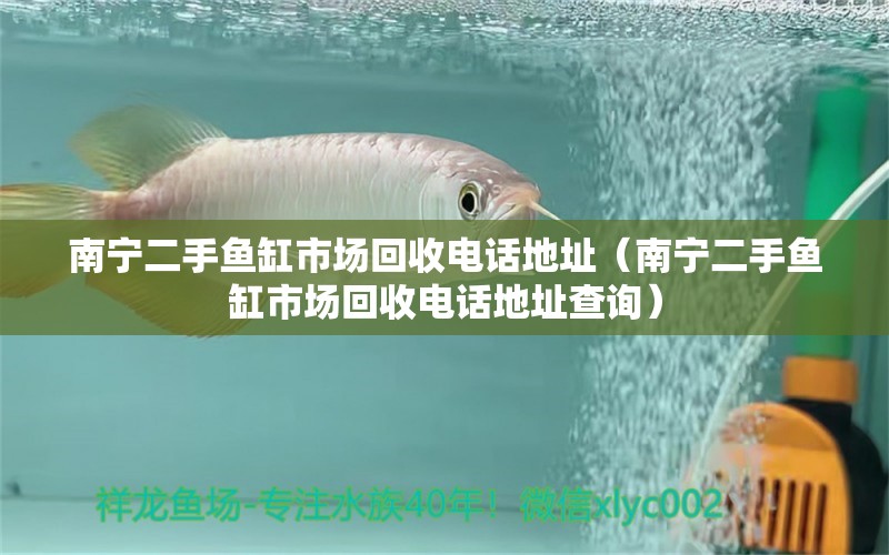 南寧二手魚缸市場回收電話地址（南寧二手魚缸市場回收電話地址查詢） 馬拉莫寶石魚