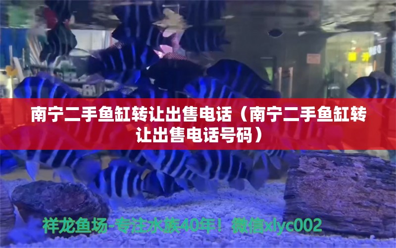 南寧二手魚缸轉(zhuǎn)讓出售電話（南寧二手魚缸轉(zhuǎn)讓出售電話號碼）