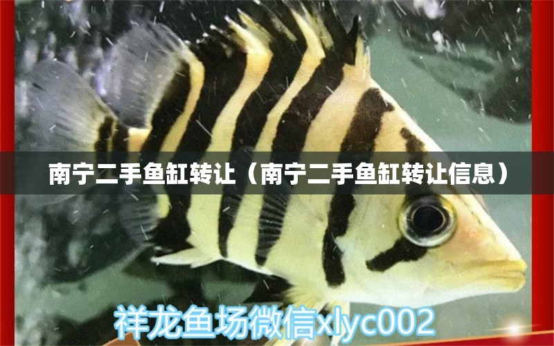 南寧二手魚缸轉(zhuǎn)讓（南寧二手魚缸轉(zhuǎn)讓信息）