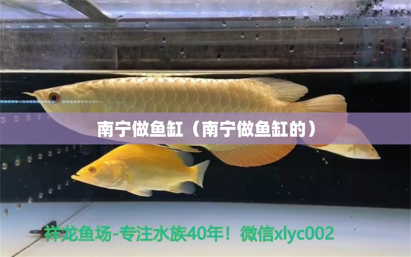 南寧做魚缸（南寧做魚缸的） 其他品牌魚缸