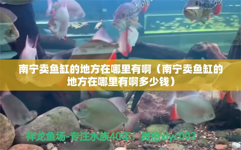 南寧賣(mài)魚(yú)缸的地方在哪里有?。蠈庂u(mài)魚(yú)缸的地方在哪里有啊多少錢(qián)）