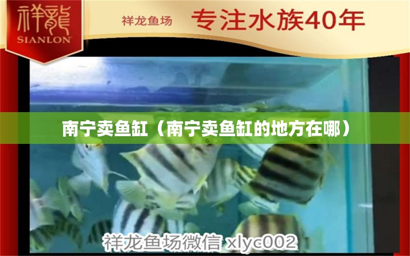 南寧賣魚缸（南寧賣魚缸的地方在哪） 其他品牌魚缸