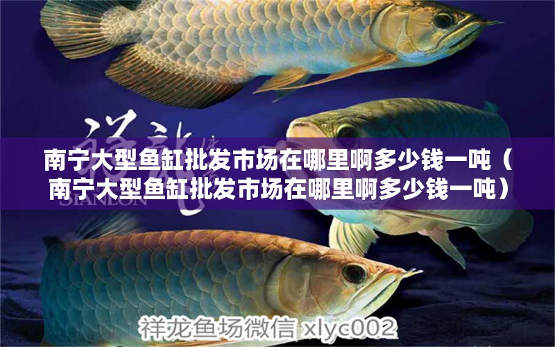 南寧大型魚缸批發(fā)市場在哪里啊多少錢一噸（南寧大型魚缸批發(fā)市場在哪里啊多少錢一噸）