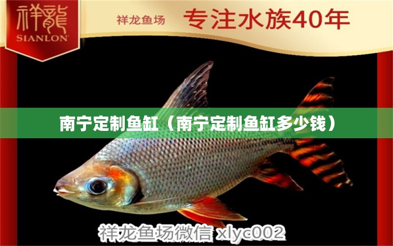 南寧定制魚缸（南寧定制魚缸多少錢）