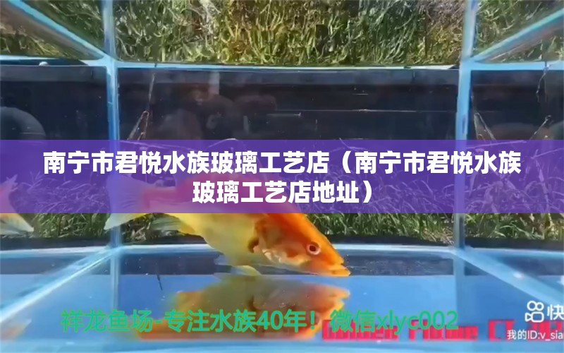 南寧市君悅水族玻璃工藝店（南寧市君悅水族玻璃工藝店地址）