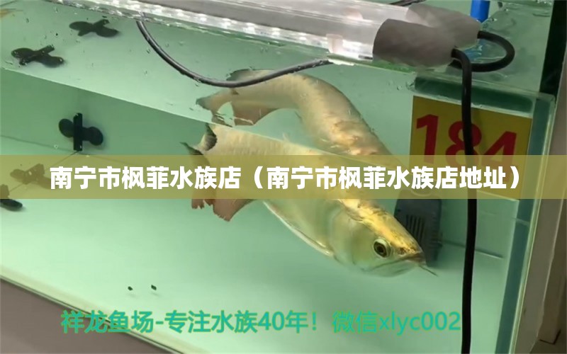 南寧市楓菲水族店（南寧市楓菲水族店地址）