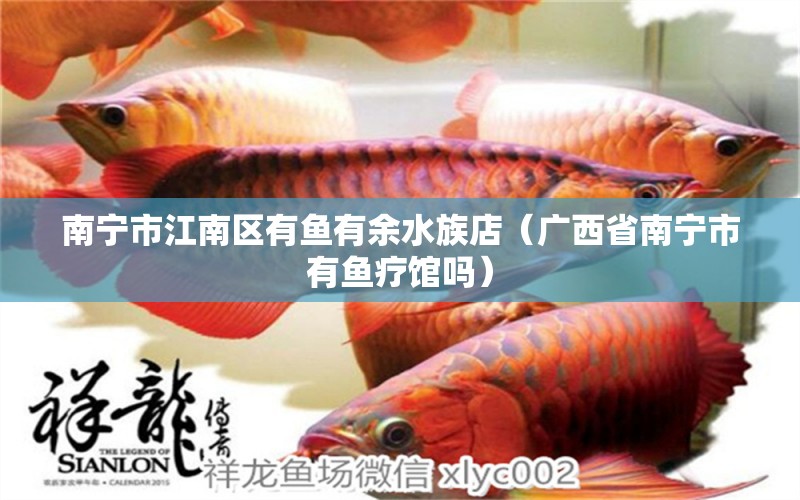 南寧市江南區(qū)有魚有余水族店（廣西省南寧市有魚療館嗎） 全國(guó)水族館企業(yè)名錄