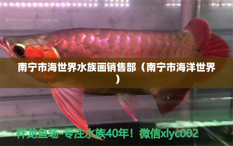 南寧市海世界水族畫銷售部（南寧市海洋世界）