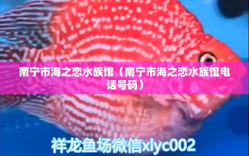 南寧市海之戀水族館（南寧市海之戀水族館電話號碼）