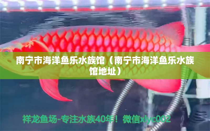 南寧市海洋魚樂水族館（南寧市海洋魚樂水族館地址）