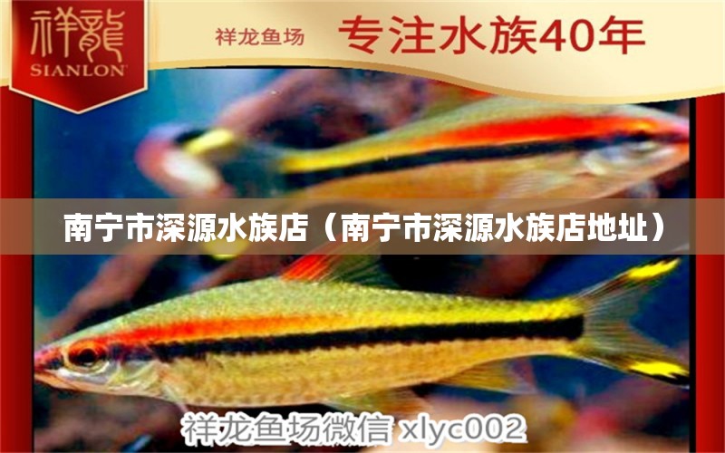 南寧市深源水族店（南寧市深源水族店地址） 全國水族館企業(yè)名錄