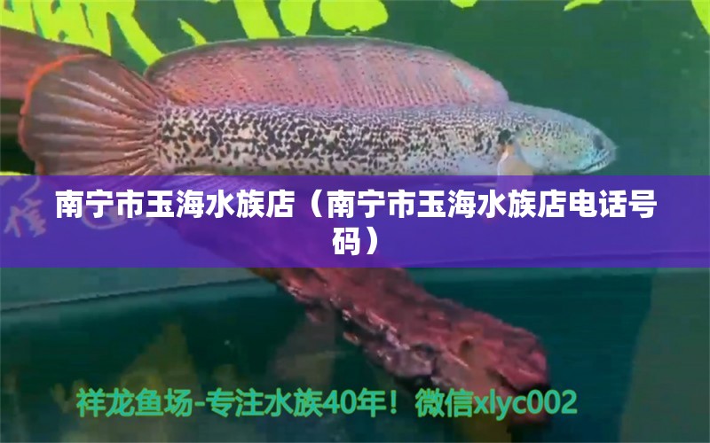 南寧市玉海水族店（南寧市玉海水族店電話號碼）