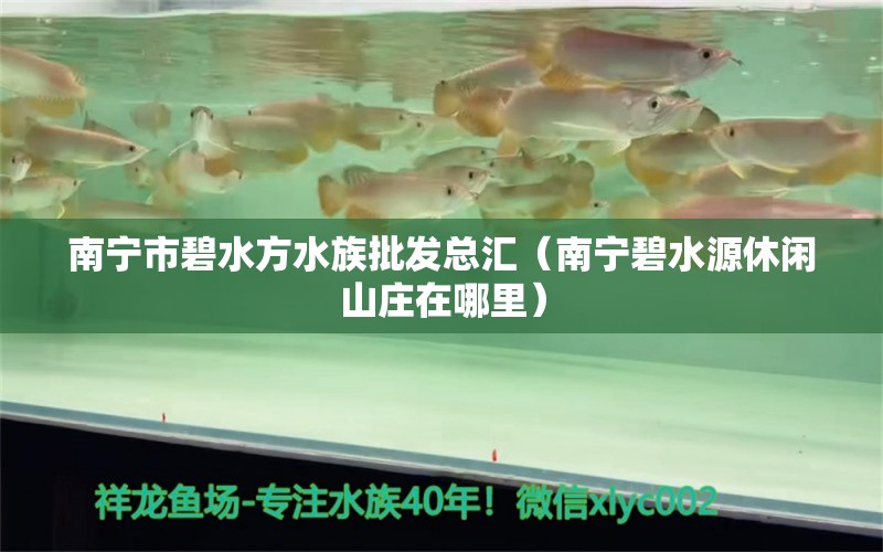 南寧市碧水方水族批發(fā)總匯（南寧碧水源休閑山莊在哪里）