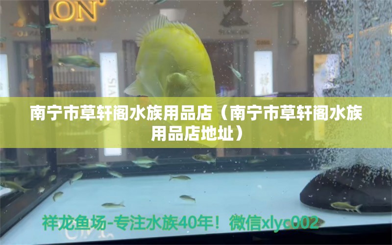 南寧市草軒閣水族用品店（南寧市草軒閣水族用品店地址） 水族用品