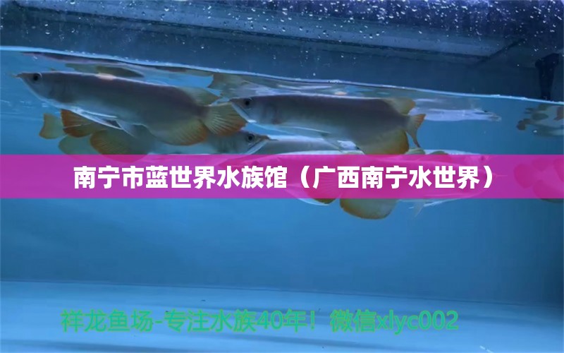 南寧市藍世界水族館（廣西南寧水世界）