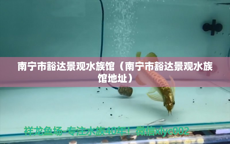 南寧市豁達景觀水族館（南寧市豁達景觀水族館地址）