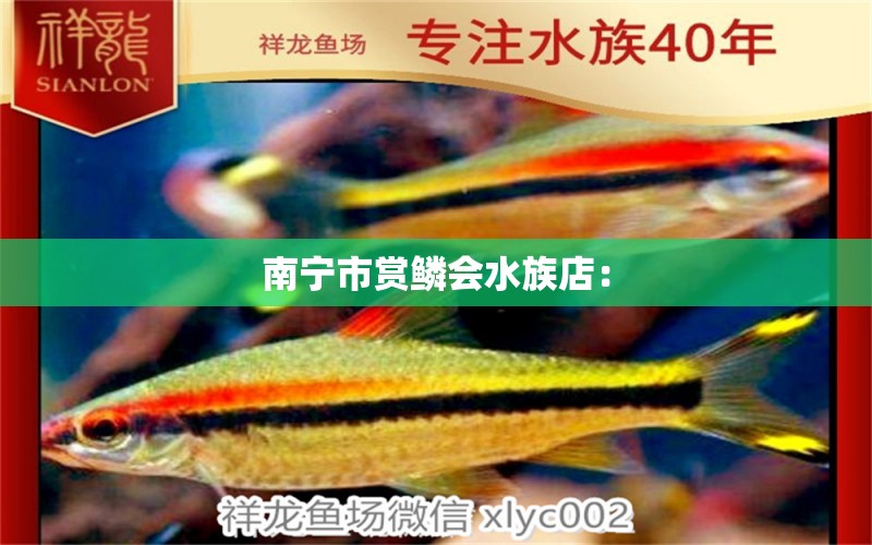 南寧市賞鱗會(huì)水族店： 全國水族館企業(yè)名錄