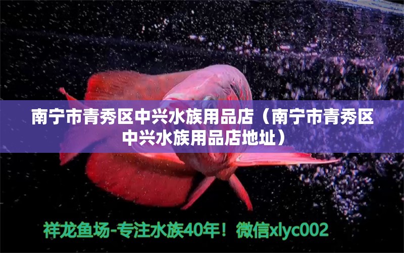 南寧市青秀區(qū)中興水族用品店（南寧市青秀區(qū)中興水族用品店地址） 水族用品