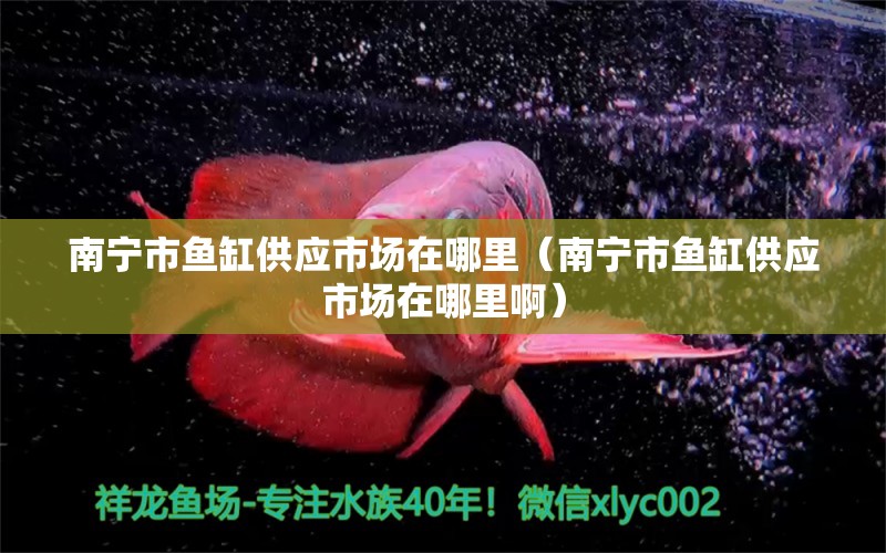 南寧市魚缸供應市場在哪里（南寧市魚缸供應市場在哪里?。?其他品牌魚缸