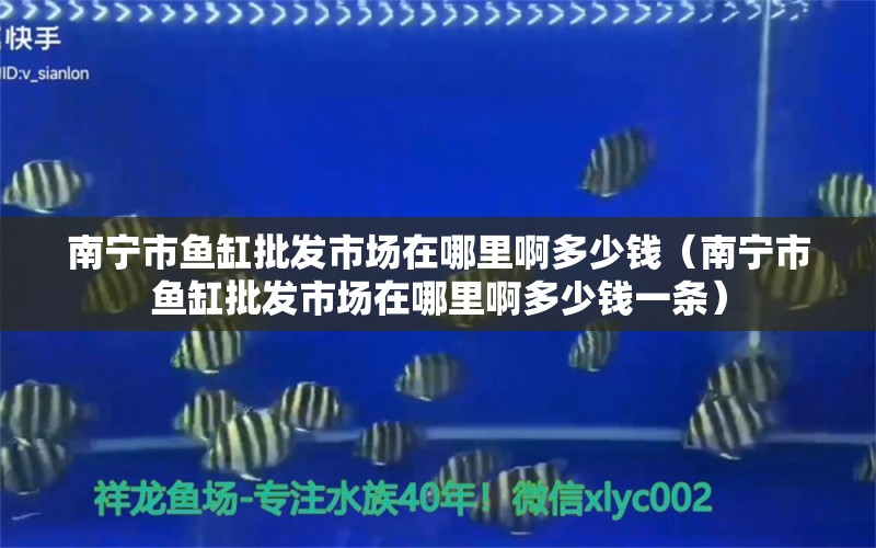 南寧市魚缸批發(fā)市場在哪里啊多少錢（南寧市魚缸批發(fā)市場在哪里啊多少錢一條）