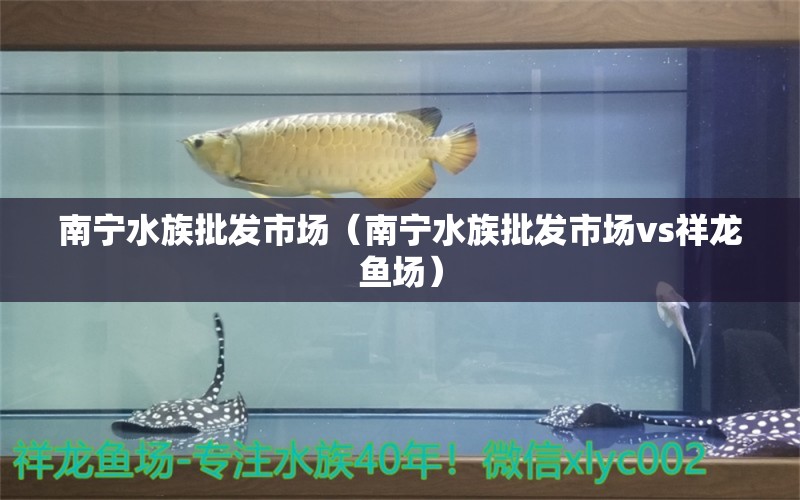 南寧水族批發(fā)市場(chǎng)（南寧水族批發(fā)市場(chǎng)vs祥龍魚場(chǎng)）