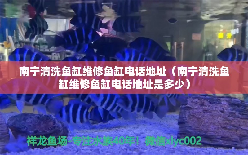 南寧清洗魚缸維修魚缸電話地址（南寧清洗魚缸維修魚缸電話地址是多少） 祥龍魚場