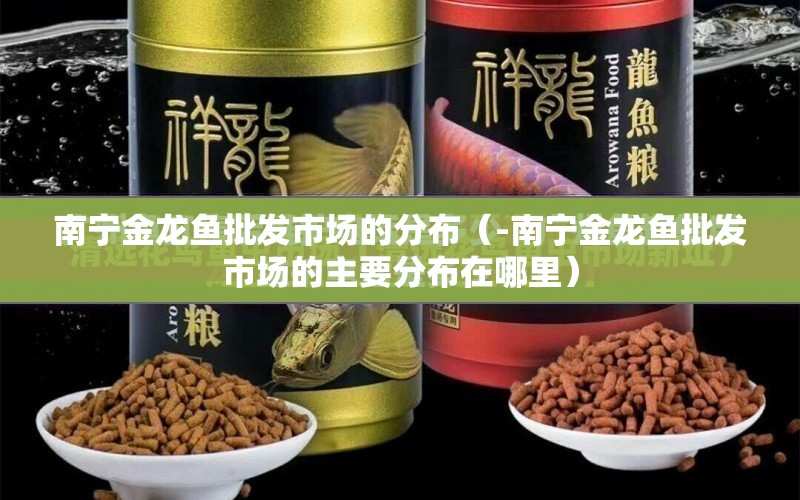 南寧金龍魚批發(fā)市場的分布（-南寧金龍魚批發(fā)市場的主要分布在哪里） 水族問答 第1張