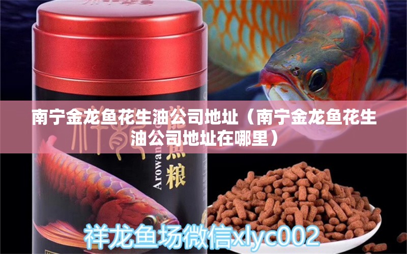 南寧金龍魚花生油公司地址（南寧金龍魚花生油公司地址在哪里）