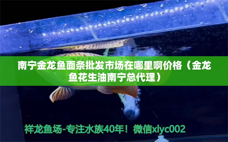 南寧金龍魚面條批發(fā)市場在哪里啊價格（金龍魚花生油南寧總代理）