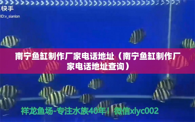 南寧魚缸制作廠家電話地址（南寧魚缸制作廠家電話地址查詢）