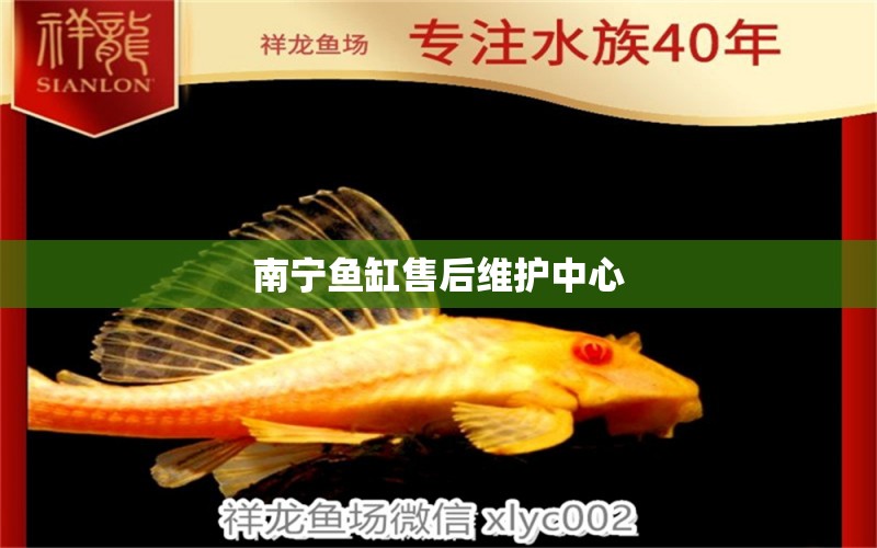 南寧魚缸售后維護(hù)中心