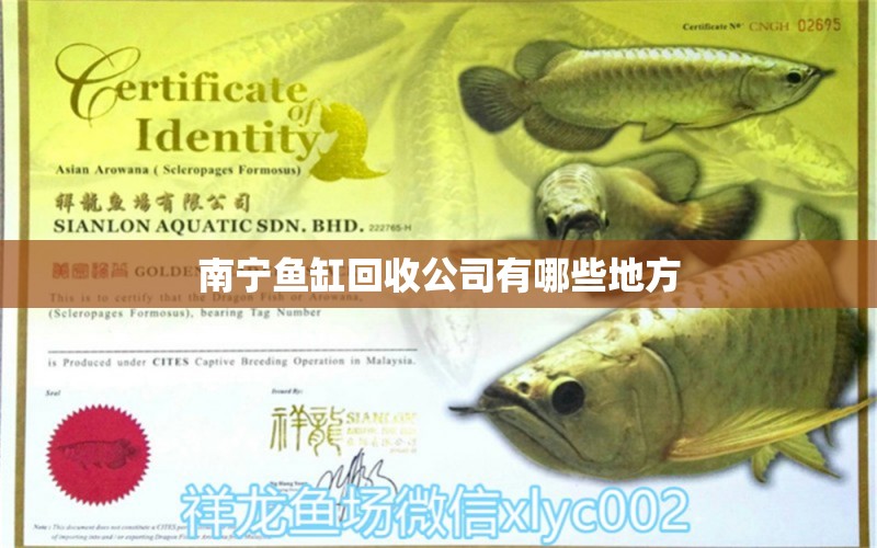 南寧魚缸回收公司有哪些地方 祥龍魚場