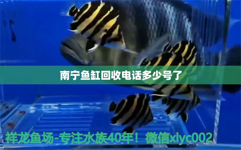 南寧魚缸回收電話多少號了