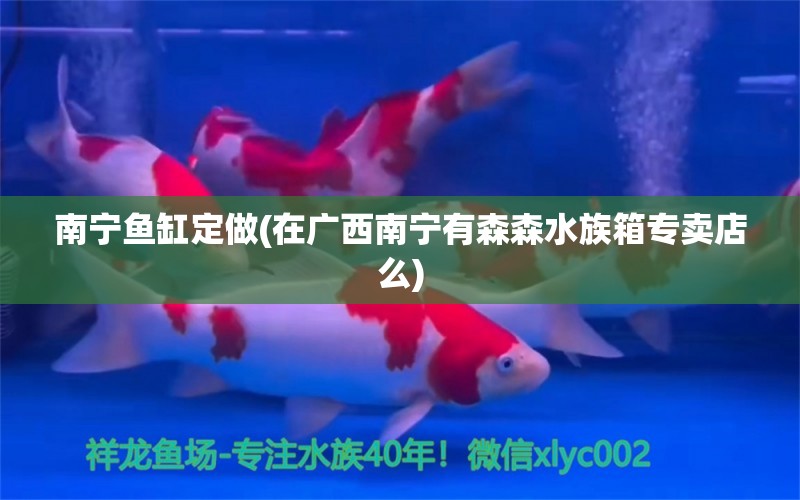 南寧魚缸定做(在廣西南寧有森森水族箱專賣店么) 魚缸/水族箱