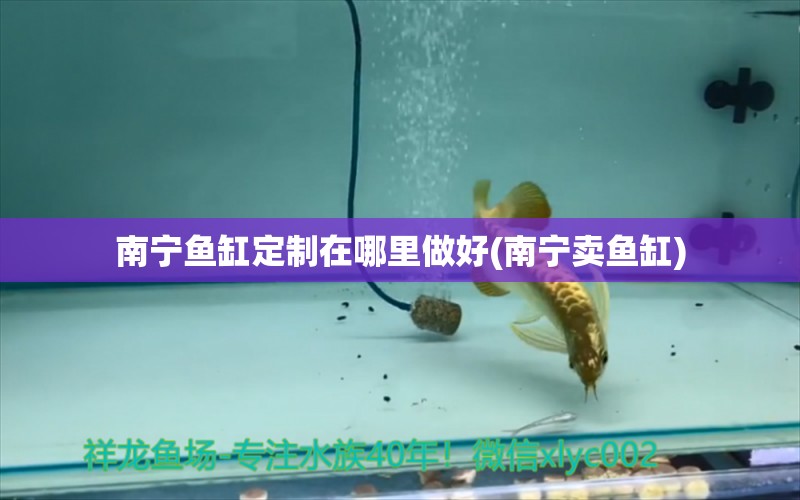 南寧魚缸定制在哪里做好(南寧賣魚缸) 小型觀賞魚