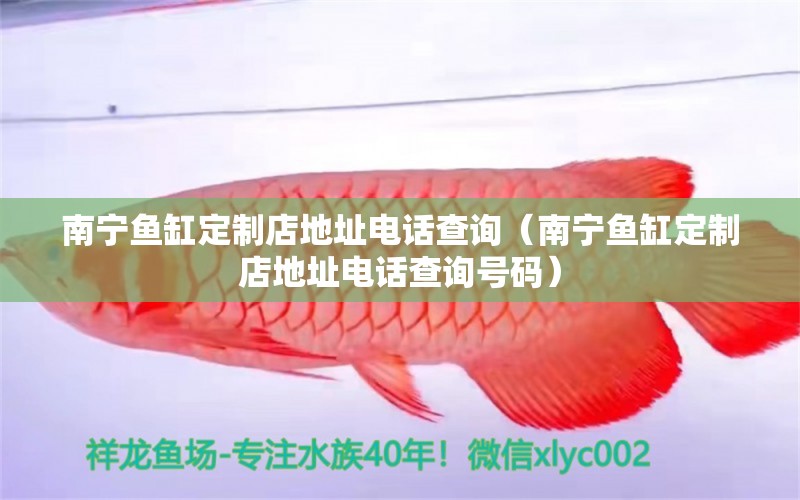 南寧魚缸定制店地址電話查詢（南寧魚缸定制店地址電話查詢號(hào)碼） 祥龍水族醫(yī)院