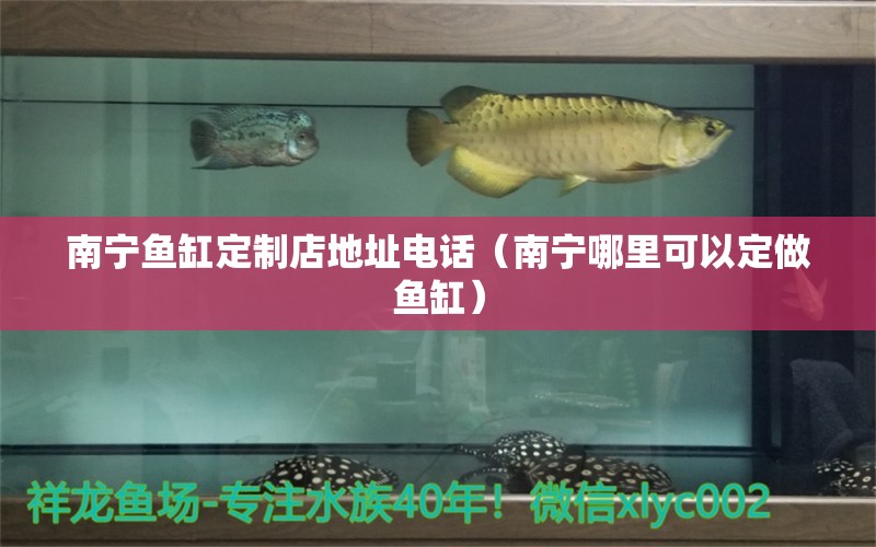 南寧魚缸定制店地址電話（南寧哪里可以定做魚缸） 白子黑帝王魟魚